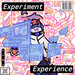 Experiment Experience