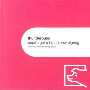 Papa's Got a Brand New Pigbag (Radio Edit)