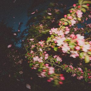 我期待的不是你 - Stay With Me Type Beat (高燃进行曲)