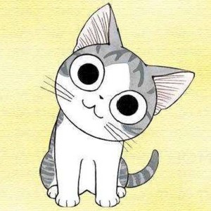 我有一只可爱的小猫