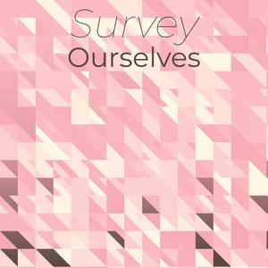 Survey Ourselves