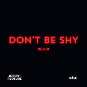 Pt. 4: Don't be shy (Remix)