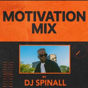 Motivation Mix