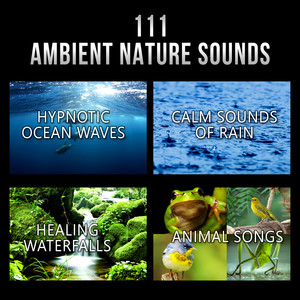 White Noise: Thunderstorm