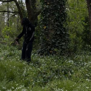 Mienteme! no m importa si esto es real o fake ! MIENTEME ! (Explicit)