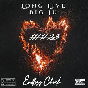 Freestyle Living Life (Explicit)