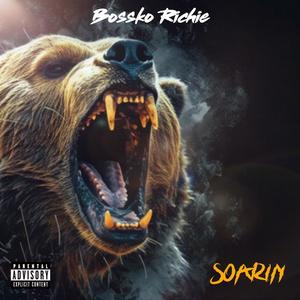 Soarin (Explicit)