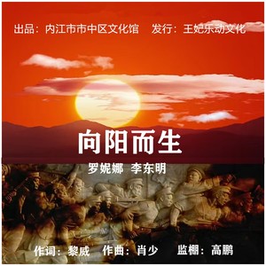 向阳而生