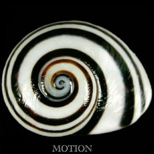 Motion