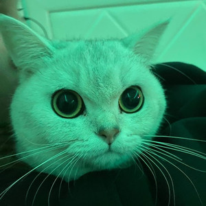 наколки (Opiumcore)