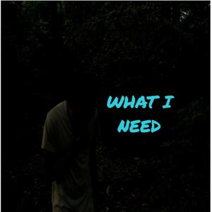 WHAT I NEED (Explicit)