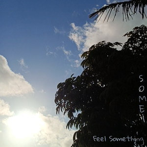 Feel Something
