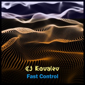 Fast Control