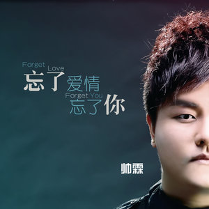 忘了爱情忘了你封面