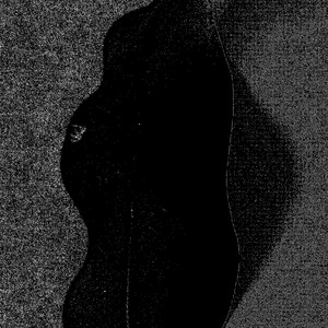 The Crow (wäk wäk)