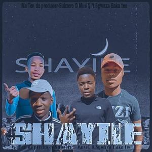 Shayile (feat. Subzero D musiq & Sgwaza & Boka Tee)