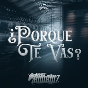 ¿Porque Te Vas?