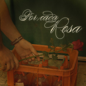 Por cada rosa