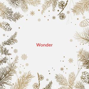 Wonder (Instrumental version originally performed by Naughty Boy feat. Emeli Sande)