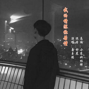 我的情深你若懂