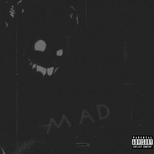 MAD REMIX(feat. 2RANKED) (Remix|Explicit)