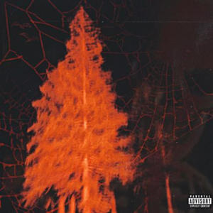 DONT CRY (feat. Lil Xek) (Explicit)