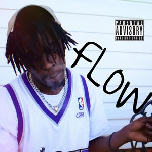 Flow (Explicit)