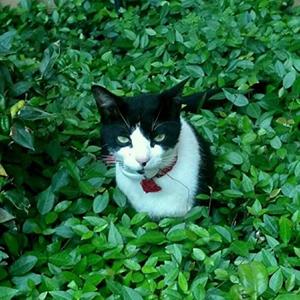 Birkin Bag Giveaway (Radio Edit)