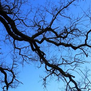 Let's See What Tomorrow Brings(feat. EKKSTACY, suisside & Pasteldrip)