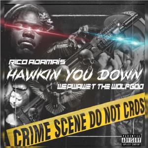 Hawkin You Down (feat. Wepwawet WolfGod) [Explicit]