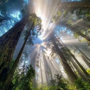 缘为冰 我把他抱在怀里