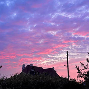 Love (feat. Carpetman)