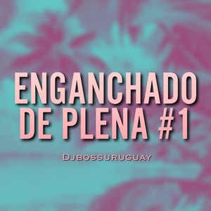 Enganchado De Plenas #1