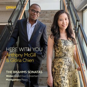 Clarinet Sonata No. 1 in F Minor, Op. 120 No. 1 - Allegro appassionato