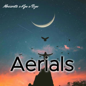 Aerials (feat. Kyu & Byu) [Explicit]