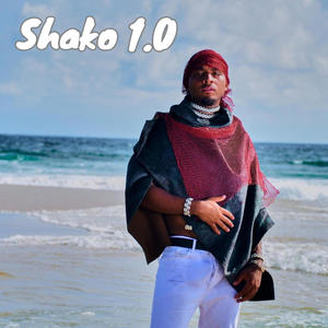 shako 1.0