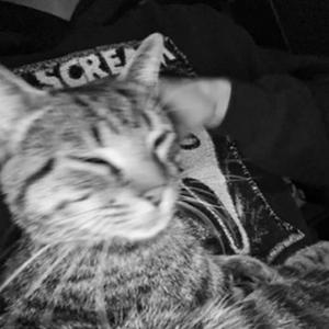 controllaME (Explicit)