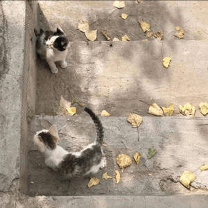 Holding On (Sped Up)