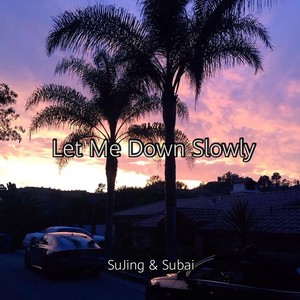 Let Me Down Slowly (Remix)