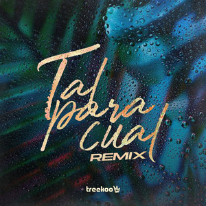 Tal Para Cual (Remix)