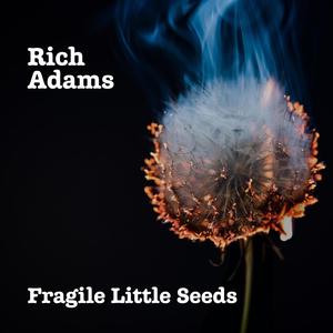 Fragile Little Seeds