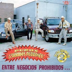 Puros Corridos Perrones Entre Negocios Prohibidos, Vol. 2