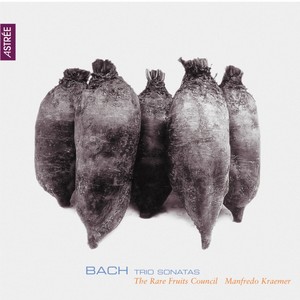Sonata for Viola da Gamba in G Minor, BWV 1029 - I. Vivace (Arr. for Baroque Ensemble)