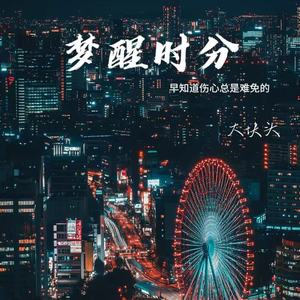 梦醒时分（早知道伤心总是难免的）