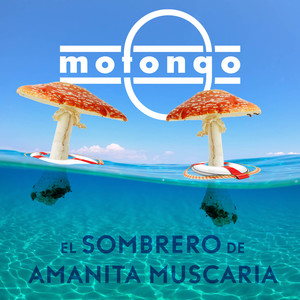 El Sombrero De Amanita Muscaria