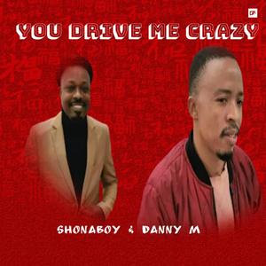 You drive me crazy (feat. Shona boy)
