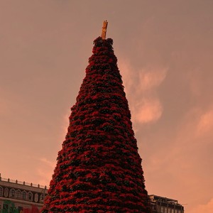 Mar de Estrellas (Versión alternativa)