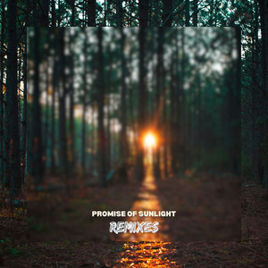 Promise of Sunlight (Lindi Ngonelo Remix)