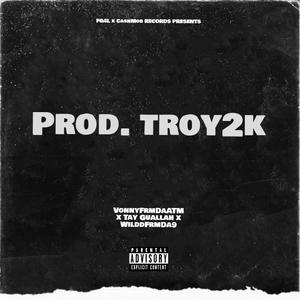 Prod. Troy2k (feat. Tay Guallah & WilddFrmDa9) [Explicit]