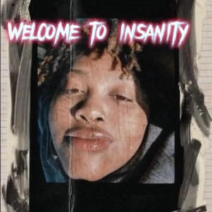 welcome to insanity (Explicit)